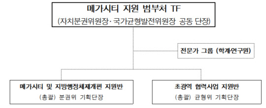 메가시티 지원 범부처 TF 구성도 <행정안전부 제공>